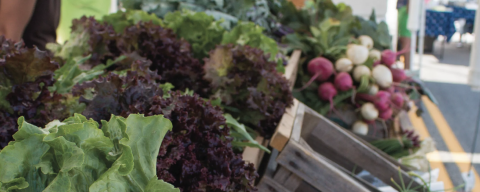 vegetables displayed in the market