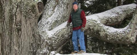 man standing beside a large tree