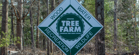 tree farm sign