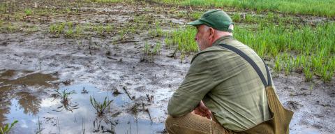 As the farmer surveys his flooded field, he feels a sense of despair. Climate change has brought more extreme weather, making it harder to grow crops and maintain his livelihood.