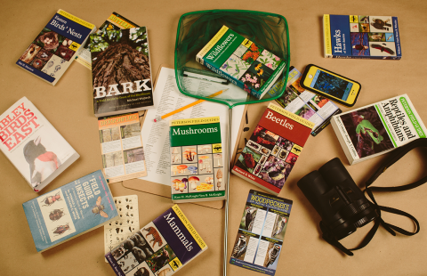 BioBlitz Kit Supplies