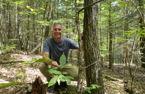 Dode Gladders with an American Chestnut Tree