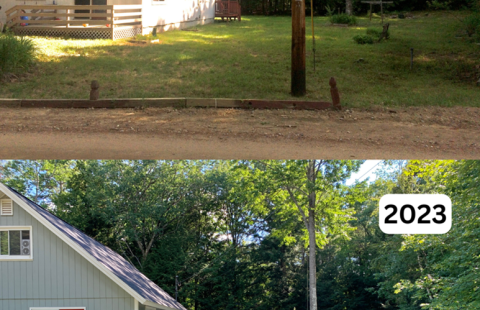 house with bare lawn in 2017 and same house with gardens surrounding in 2023
