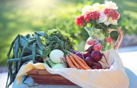 vegetables 