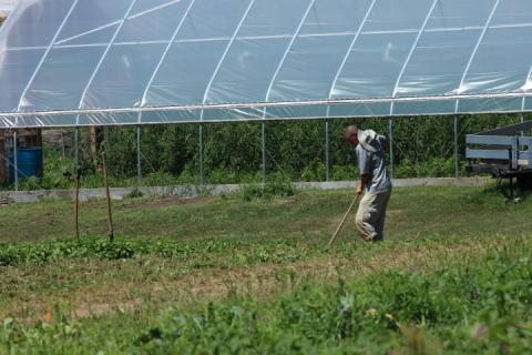a man digging in the field 