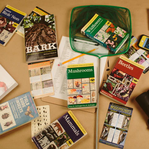 BioBlitz Kit