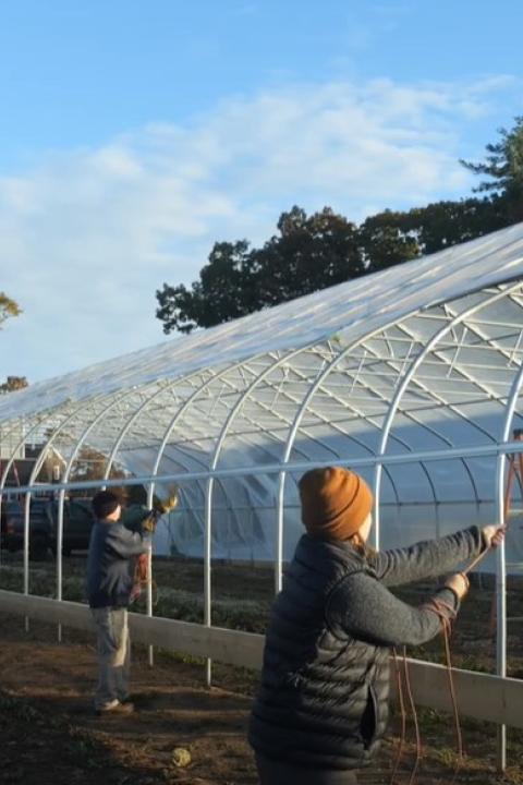 three people constructing a high tunnel greenhouse in the morning